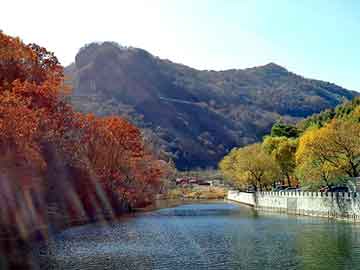 天天彩好彩天天免费，山东莱芜